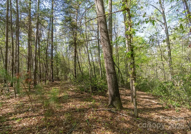 2nd image of V/l Easy St #11 and 12, Lake Lure, NC 28746 | MLS# 4161198