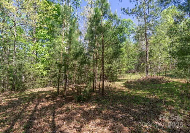 4th image of V/L Easy St #11 and 12, Lake Lure, NC 28746 | MLS# 4161198