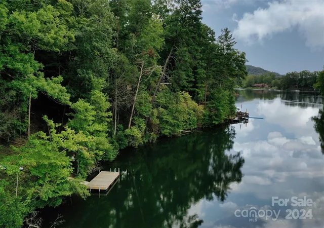 1st image of 1733 Buffalo Creek Rd, Lake Lure, NC 28746 | MLS# 4164113