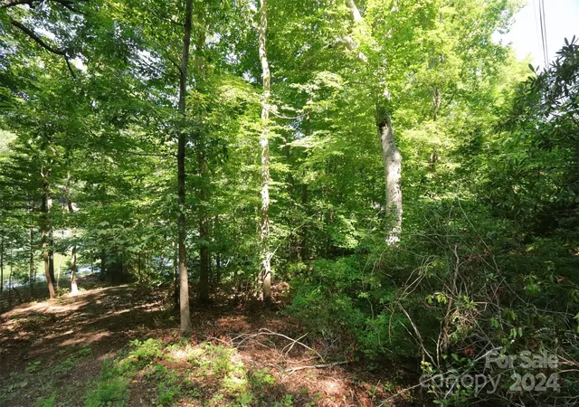 4th image of 1733 Buffalo Creek Rd, Lake Lure, NC 28746 | MLS# 4164113