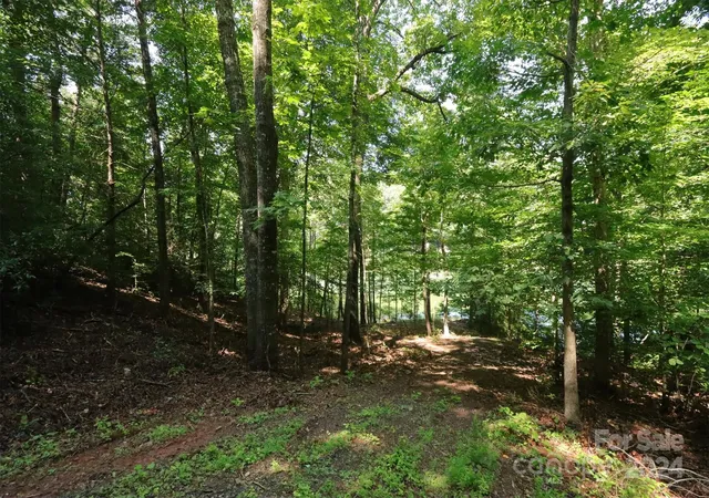 5th image of 1733 Buffalo Creek Rd, Lake Lure, NC 28746 | MLS# 4164113
