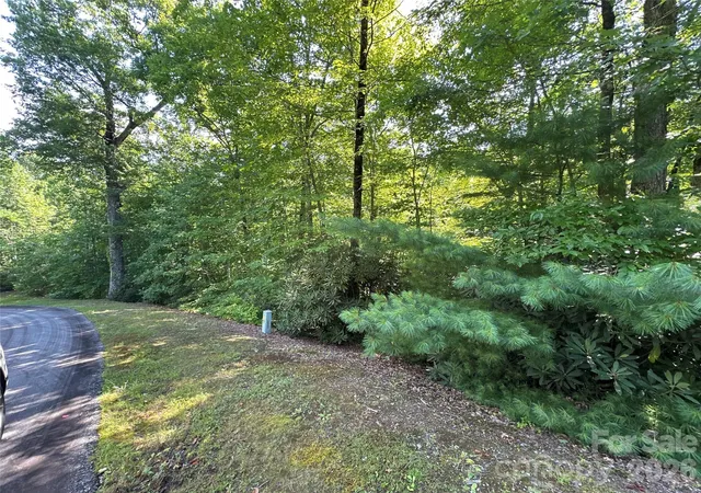 Homes for sale in Rosman, NC | 67 Peppervine Cir, Rosman, NC 28772 | MLS# 4164361