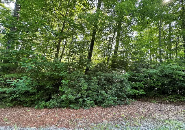 Homes for sale in Rosman, NC | 67 Peppervine Cir, Rosman, NC 28772 | MLS# 4164361