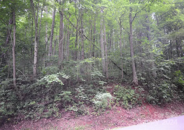 Homes for sale in Black Mountain, NC | 54 Great Aspen Way #701, Black Mountain, NC 28711 | MLS# 4164443