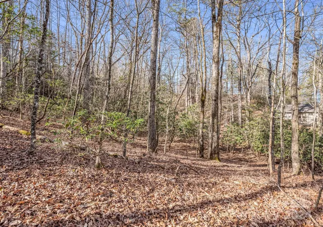 Photo 4 of Land for sale at Tbd Adayahi Ct #14/25, Brevard, NC 28712 | MLS# 4166613 | Listing updated on 2026-08-17