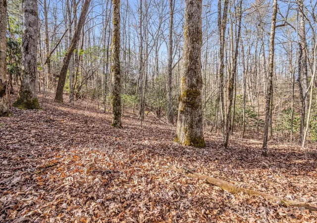 Photo 5 of Land for sale at Tbd Adayahi Ct #14/25, Brevard, NC 28712 | MLS# 4166613 | Listing updated on 2026-08-17