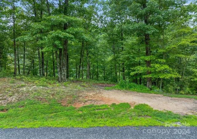 Homes for sale in Marshall, NC | 4155 French Broad Pkwy, Marshall, NC 28753 | MLS# 4167292
