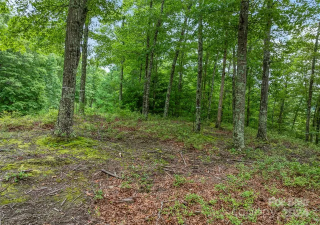 Homes for sale in Marshall, NC | 4155 French Broad Pkwy, Marshall, NC 28753 | MLS# 4167292