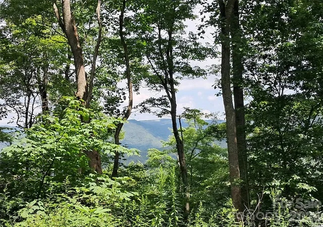 1st image of 00 Hurricane Ridge Tr #53, Clyde, NC 28721 | MLS# 4167477