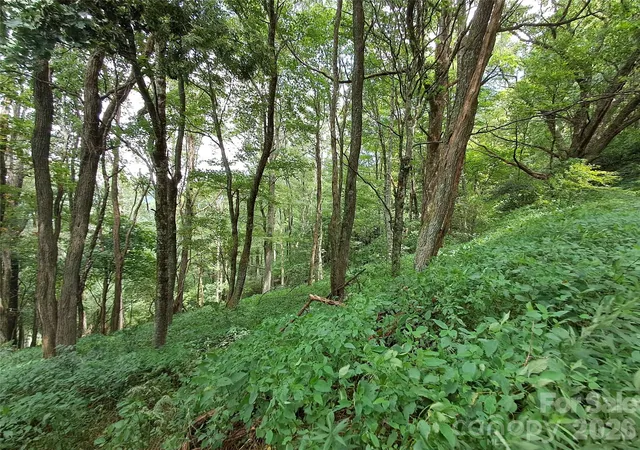 2nd image of 00 Hurricane Ridge Tr #53, Clyde, NC 28721 | MLS# 4167477