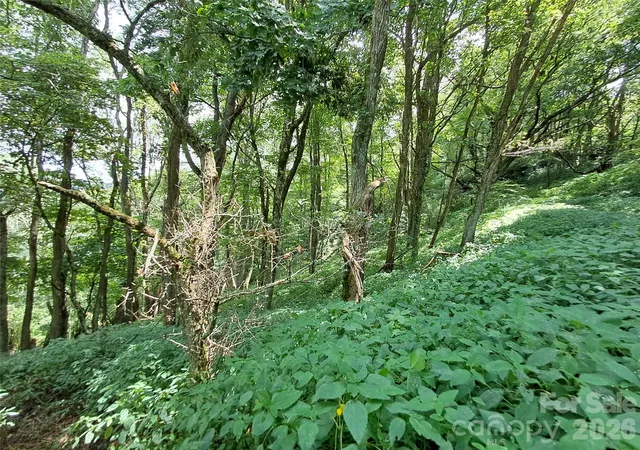 3rd image of 00 Hurricane Ridge Tr #53, Clyde, NC 28721 | MLS# 4167477