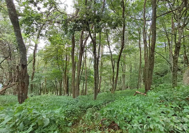 4th image of 00 Hurricane Ridge Tr #53, Clyde, NC 28721 | MLS# 4167477