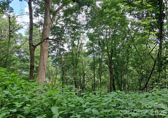 5th image of 00 Hurricane Ridge Tr #53, Clyde, NC 28721 | MLS# 4167477