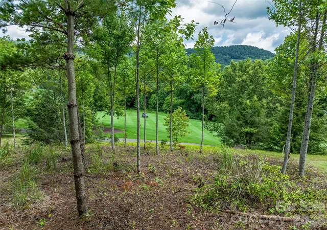 Photo 3 of Land for sale at 1822 Bella Vista Ct #119, Arden, NC 28704 | MLS# 4167673 | Listing updated on 2026-06-05