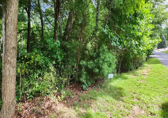 1st image of 00000 Barebridge Dr #9, Burnsville, NC 28714 | MLS# 4168816