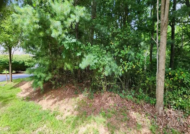 2nd image of 00000 Barebridge Dr #9, Burnsville, NC 28714 | MLS# 4168816