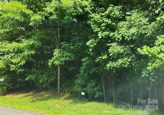 21st image of 00000 Barebridge Dr #9, Burnsville, NC 28714 | MLS# 4168816