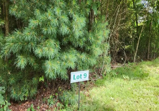 3rd image of 00000 Barebridge Dr #9, Burnsville, NC 28714 | MLS# 4168816