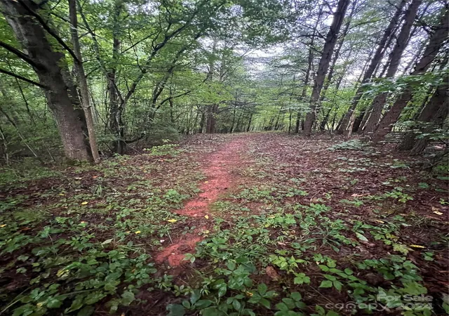 5th image of 000 Easy St #18, Lake Lure, NC 28746 | MLS# 4169949