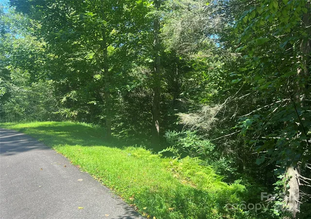 5th image of 17 Harleys Cove Rd #17, Waynesville, NC 28785 | MLS# 4173884