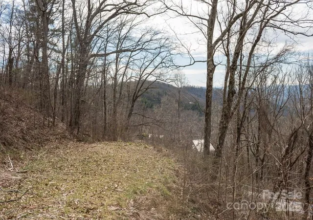 1st image of 999 Falconwood Ln #20 and 21, Asheville, NC 28804 | MLS# 4174205