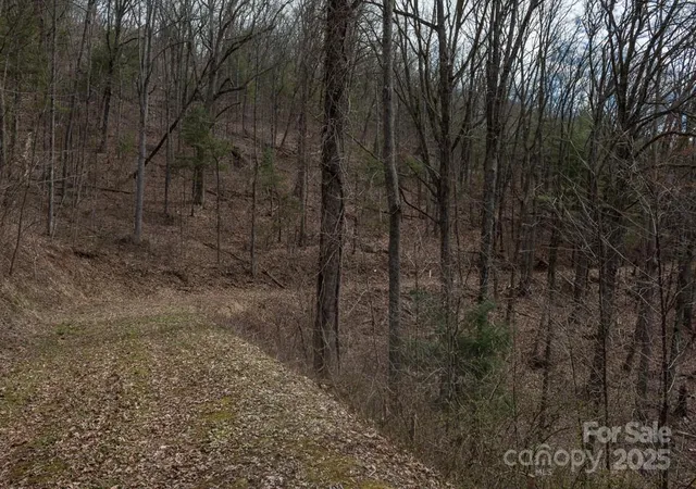 3rd image of 999 Falconwood Ln #20 and 21, Asheville, NC 28804 | MLS# 4174205