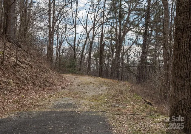 5th image of 999 Falconwood Ln #20 and 21, Asheville, NC 28804 | MLS# 4174205