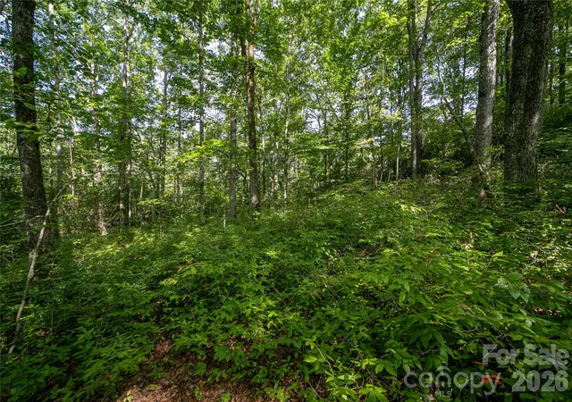 Photo 3 of Land for sale at Lot 8 Sweetwater Ridge Rd #8, Balsam Grove, NC 28708 | MLS# 4174434 | Listing updated on 2026-10-17