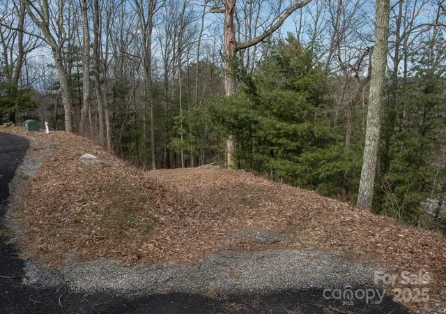 image of 999 Falconwood Ln #25, Asheville, NC 28804 | MLS# 4174748