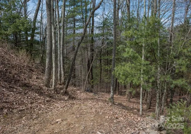 image of 999 Falconwood Ln #25, Asheville, NC 28804 | MLS# 4174748