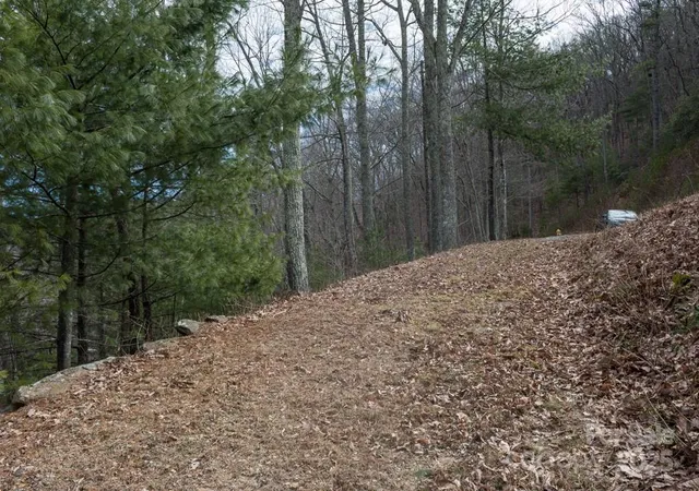 image of 999 Falconwood Ln #25, Asheville, NC 28804 | MLS# 4174748