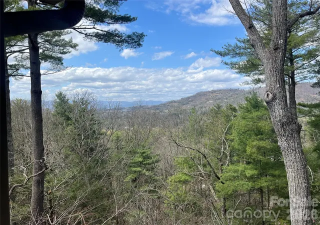 1st image of 2902 Timber Trl, Asheville, NC 28804 | MLS# 4176254