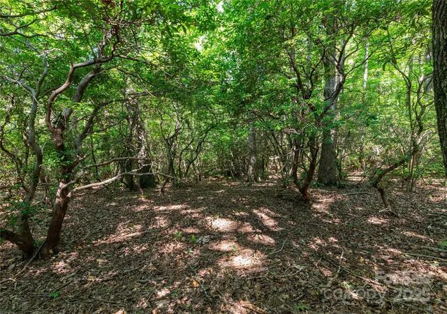 3rd image of 9999 Arrowhead Trl #74, 75, and 76, Columbus, NC 28722 | MLS# 4177475