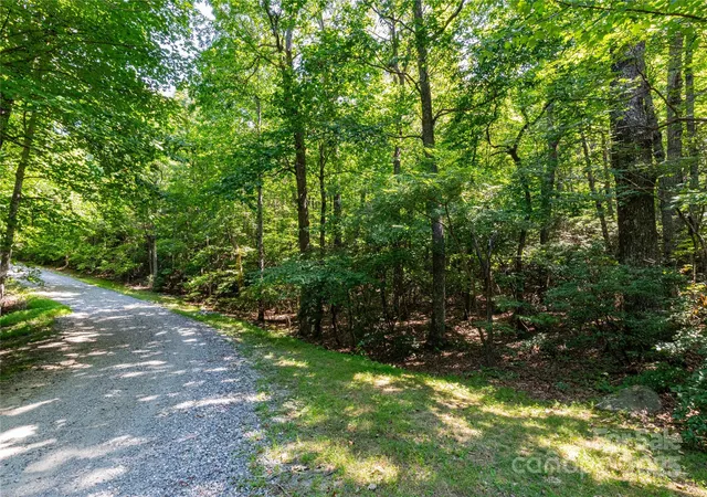 4th image of 9999 Arrowhead Trl #74, 75, and 76, Columbus, NC 28722 | MLS# 4177475