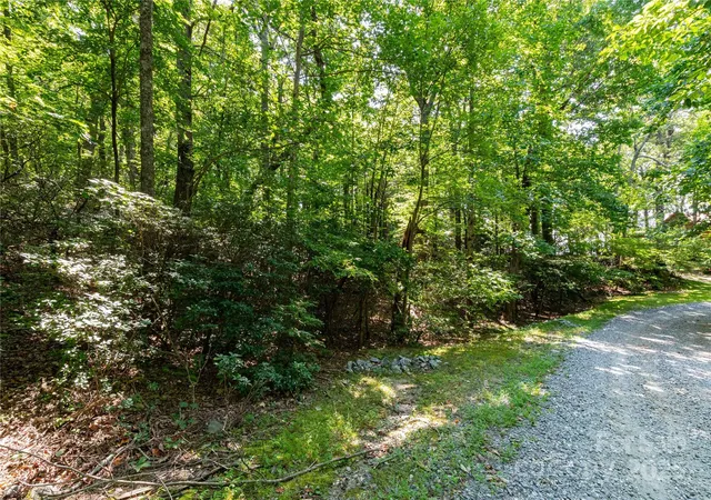 5th image of 9999 Arrowhead Trl #74, 75, and 76, Columbus, NC 28722 | MLS# 4177475