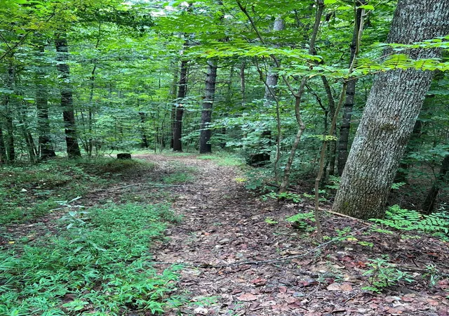 Photo 1 of Land for sale at 645 Tunnel Rd #157 & 158, Marion, NC 28752 | MLS# 4179092 | Listing updated on 2026-09-01