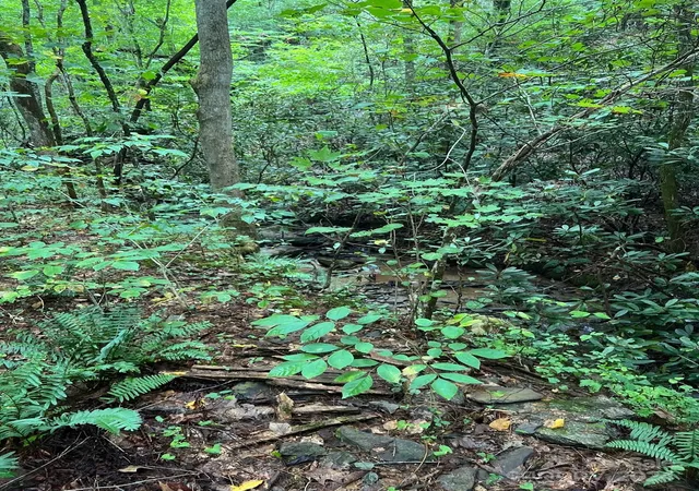 Photo 4 of Land for sale at 645 Tunnel Rd #157 & 158, Marion, NC 28752 | MLS# 4179092 | Listing updated on 2026-09-01