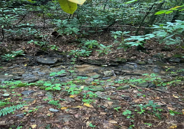 Photo 5 of Land for sale at 645 Tunnel Rd #157 & 158, Marion, NC 28752 | MLS# 4179092 | Listing updated on 2026-09-01