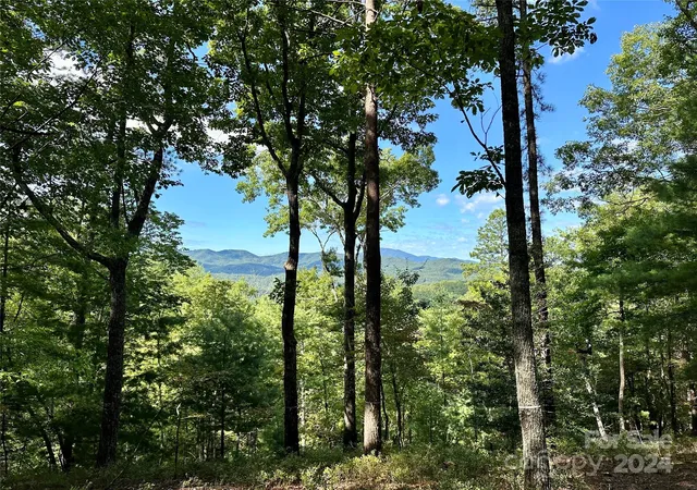 Photo 2 of Land for sale at 176 Winterberry Dr #17, Marshall, NC 28753 | MLS# 4181040 | Listing updated on 2026-08-18