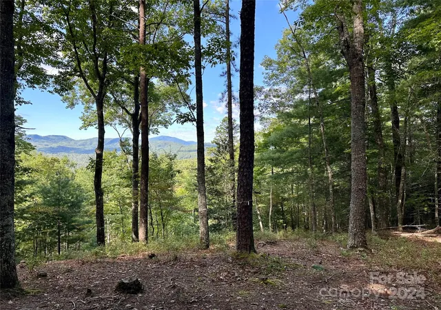 Photo 3 of Land for sale at 176 Winterberry Dr #17, Marshall, NC 28753 | MLS# 4181040 | Listing updated on 2026-08-18