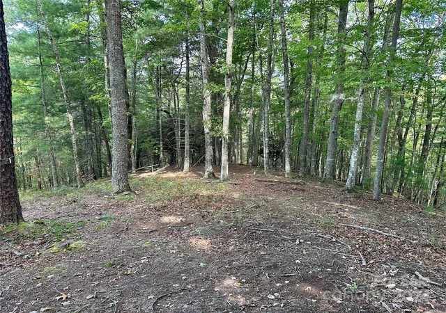 Photo 4 of Land for sale at 176 Winterberry Dr #17, Marshall, NC 28753 | MLS# 4181040 | Listing updated on 2026-08-18