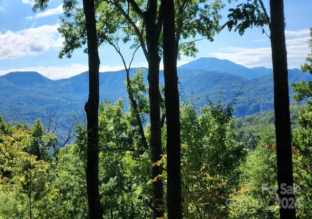 Photo 5 of Land for sale at 176 Winterberry Dr #17, Marshall, NC 28753 | MLS# 4181040 | Listing updated on 2026-08-18