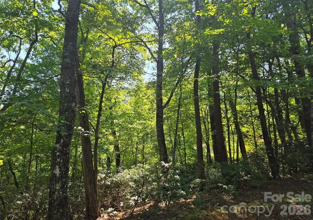 Photo 4 of Land for sale at Lot 152 Sullivan Ln, Lake Lure, NC 28746 | MLS# 4182454 | Listing updated on 2026-09-22