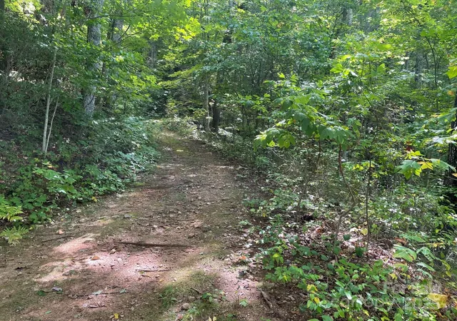 Photo 4 of Land for sale at Lt E 176 Reach Rd #176, Sylva, NC 28779 | MLS# 4183434 | Listing updated on 2025-12-03
