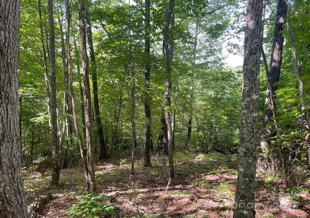 Photo 5 of Land for sale at Lt E 176 Reach Rd #176, Sylva, NC 28779 | MLS# 4183434 | Listing updated on 2025-12-03