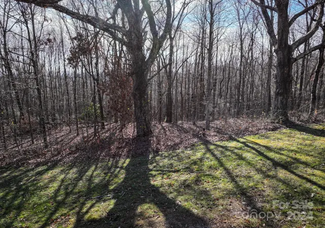 4th image of 99999 Dancing Bear Dr #53, Hendersonville, NC 28792 | MLS# 4187399