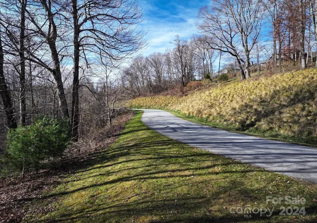 5th image of 99999 Dancing Bear Dr #53, Hendersonville, NC 28792 | MLS# 4187399