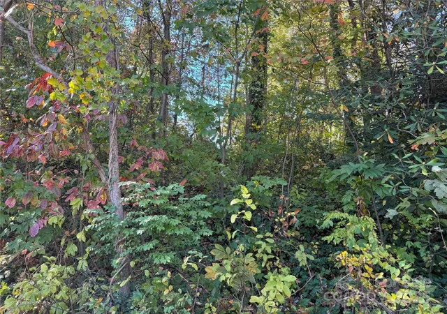 Photo 3 of Land for sale at 00 Upper Ridgewood Blvd, Hendersonville, NC 28791 | MLS# 4190534 | Listing updated on 2026-05-19