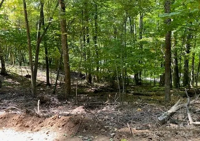 Photo 2 of Land for sale at Lot G42 Odalu Trl #G42, Maggie Valley, NC 28751 | MLS# 4191388 | Listing updated on 2026-04-17
