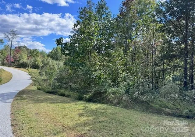 5th image of V/L Ridge Point Rd #9, Nebo, NC 28761 | MLS# 4191826